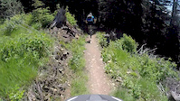 Tiger Mountain
