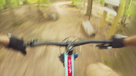 Meadowood Yard Sale & Boss trails in...