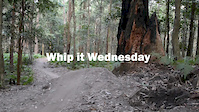 quick whip it wednesday