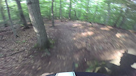 Mianus River Park-New Trail