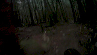 Sunshine Coast Trail Challenge 2013