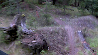 Rail Trail