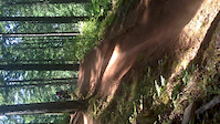 step up at drop out trail