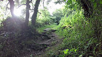 lamorna cove