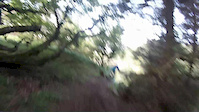 north third
