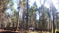 Some clips from Hill Billy Deluxe