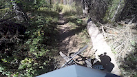 Don't Go Off The Trail.