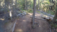 bs/monticola/luge