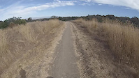 Arastradero preserve. Woodland star trail.