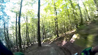 brecfa forest xc