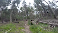 short clip