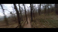Trail Schwammerling