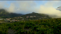vieussan , le lézard bleu