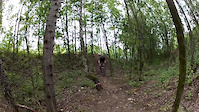Rock garden i szkółka kolarska WGR