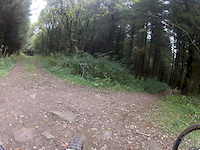 Smilog woods, pallet land into jumps and drops