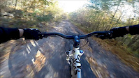 Down Fire Tower Road