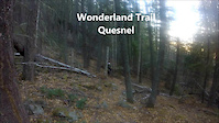 Wonderland