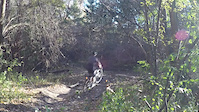 riding CLIMBMAX in the Don Valley