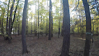 Ebenwieser Wald und Ebenwies