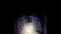 Nightride