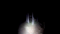 Nightride