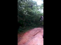whip