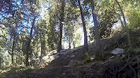 The Secret Trail