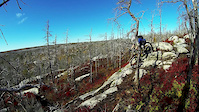 Fight Trail Steeps