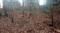 My backyard trail