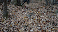 A Day in Deer Season