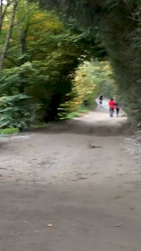 Fast path
