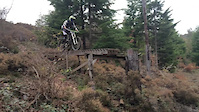 Tavi Woods Ladder drop