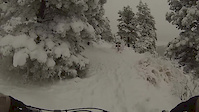 fat bike shred with the pup.