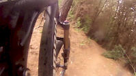 PD Trail - Te Miro
