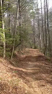 DH Run of Burnt Mtn