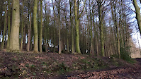 Esholt path gap