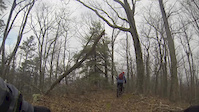 Festival trail