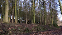 Esholt path gap.