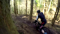Leigh Woods Bristol