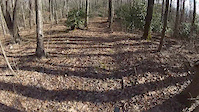 Raspberry Ridge