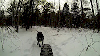 Louies First Snow Ride: Spider Lake