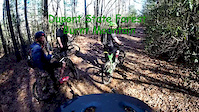 Dupont State Forest-Big Rock and more