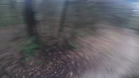 Brigante and Linea Pezzey trails