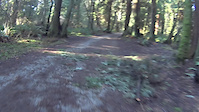 Stanley Park - Trail
