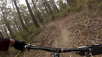 Forrest enduro