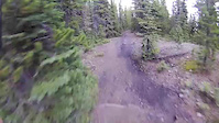 Watch out for trees