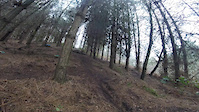 short edit delamere 2016