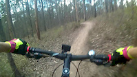Daisy Hill Edit