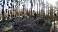 Forårskulder i Rude (Berms, sketchy and...