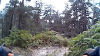 Caida bajando Navacerrada